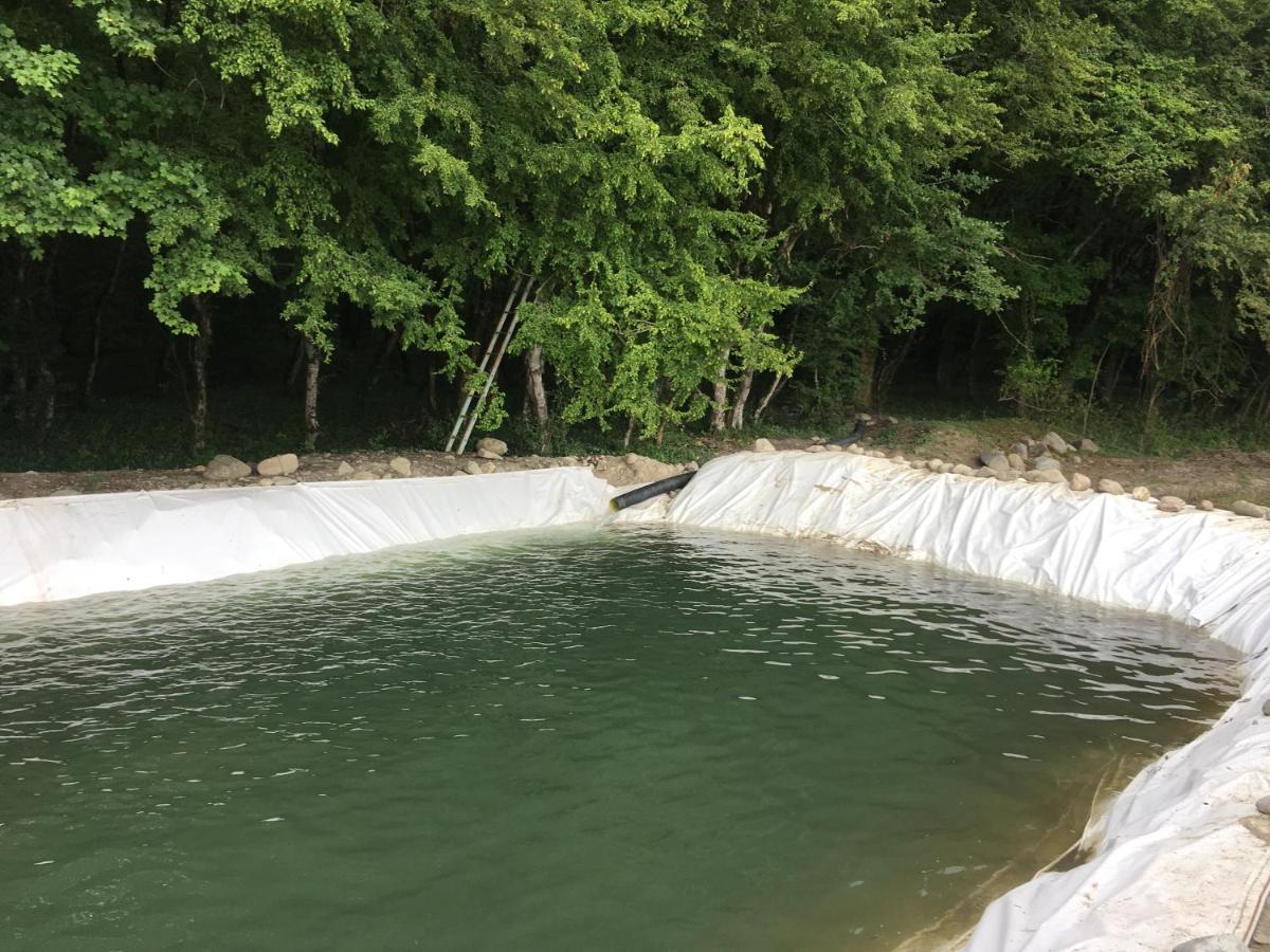 Guesthouse Aisi In Lagodekhi Zewnętrze zdjęcie