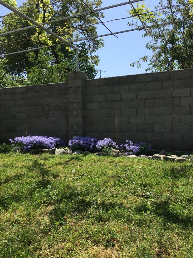 Guesthouse Aisi In Lagodekhi Zewnętrze zdjęcie