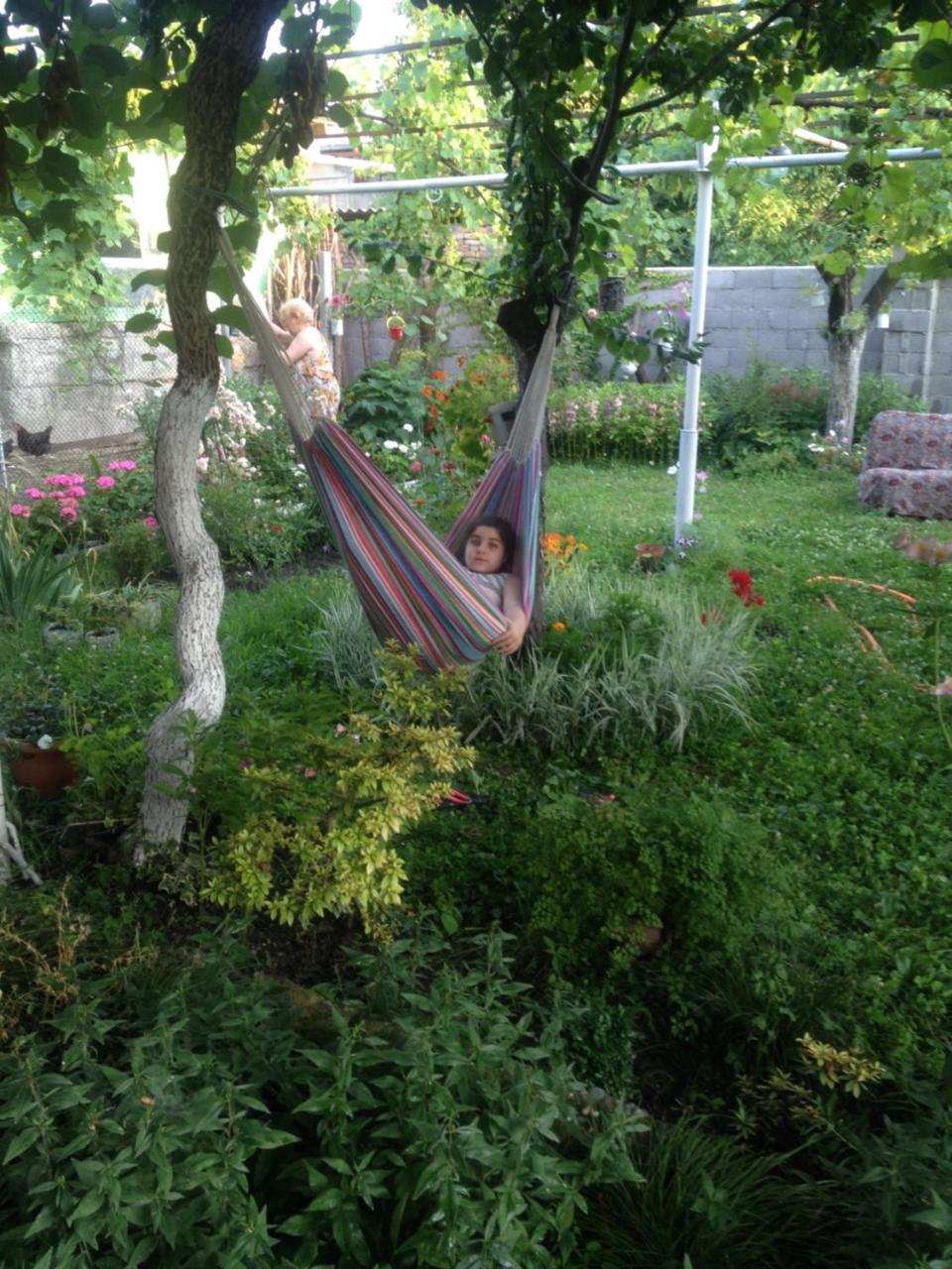 Guesthouse Aisi In Lagodekhi Zewnętrze zdjęcie