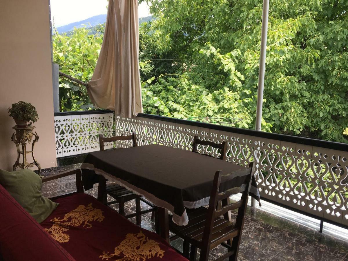 Guesthouse Aisi In Lagodekhi Zewnętrze zdjęcie